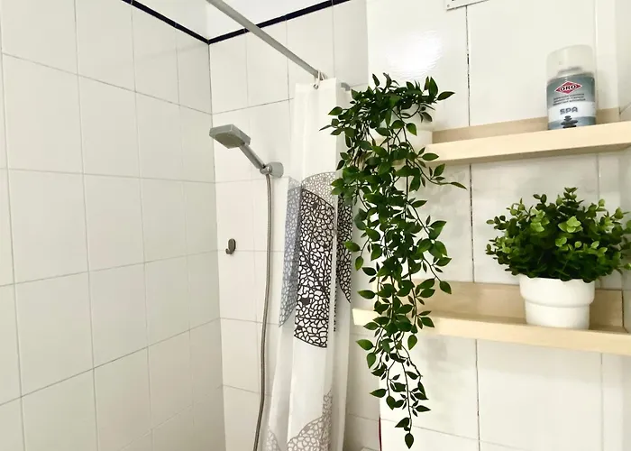 Paradise - * Эль-Медано